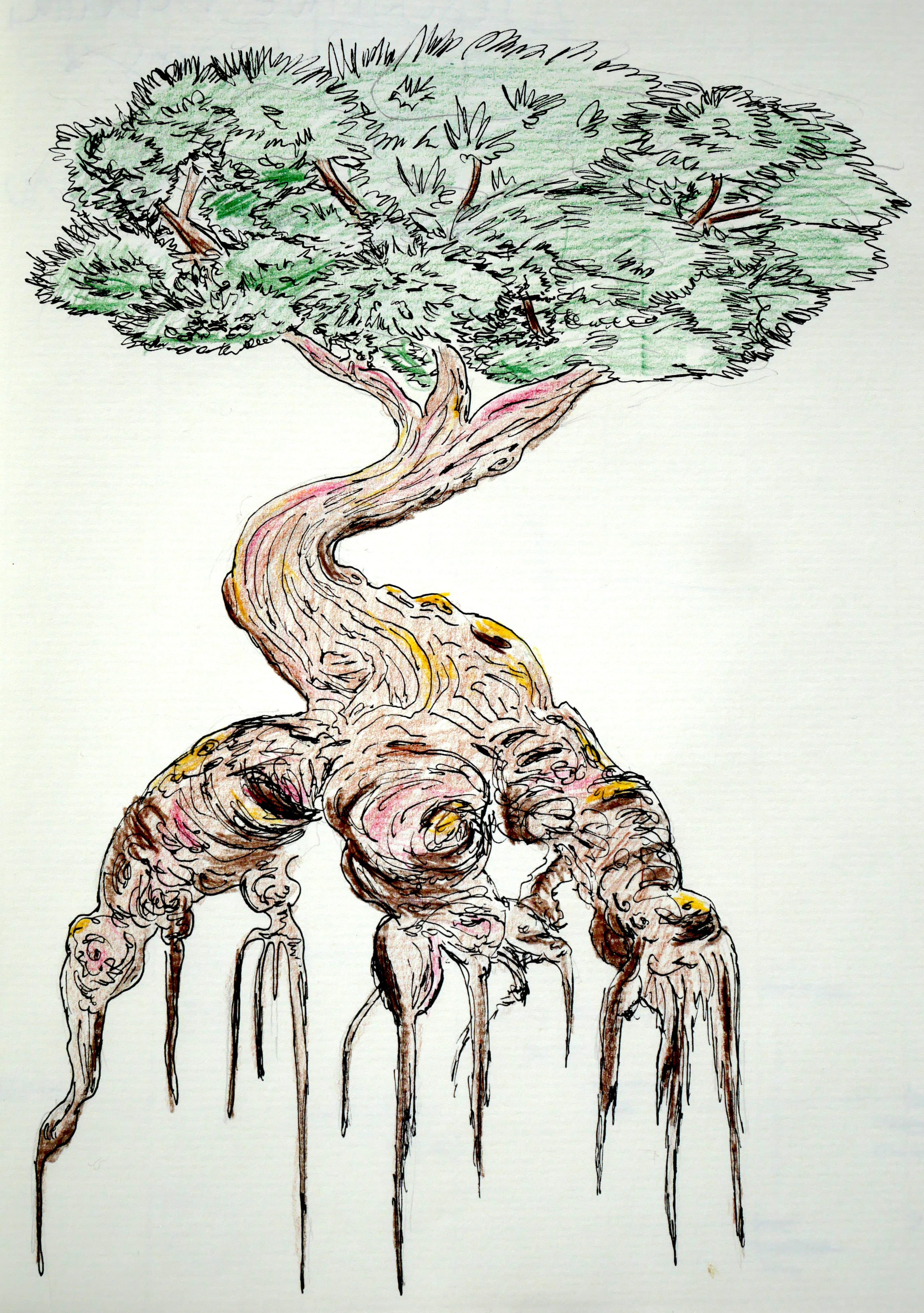 tree